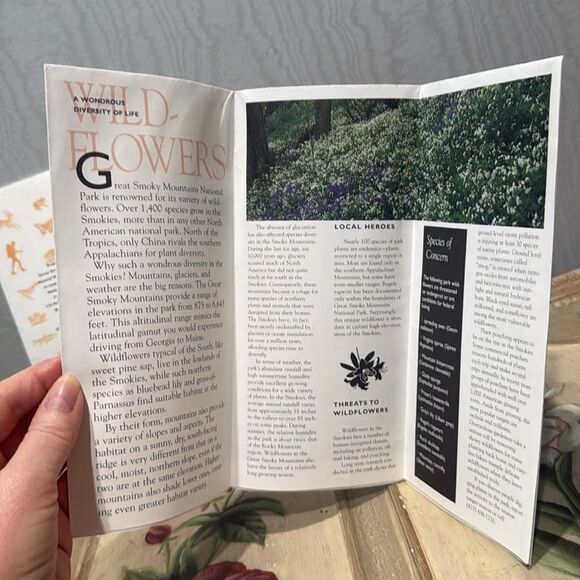 Vintage 1998 Great Smoky Mountains National Park Pamphlets Set of Four - Picture 12 of 16